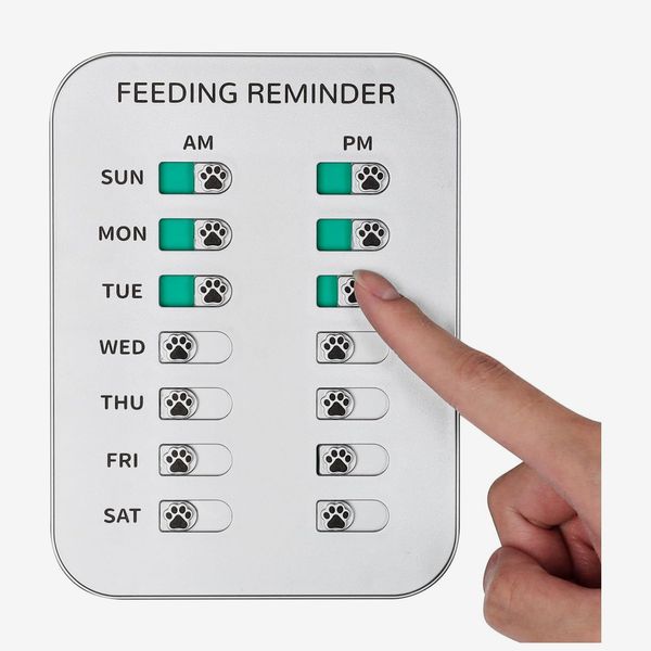 Dog Feeding Reminder