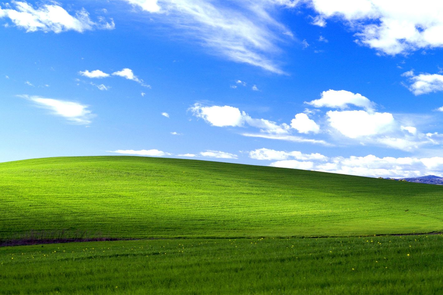 Windows XP Wallpaper Hill in California Didn't Catch Fire