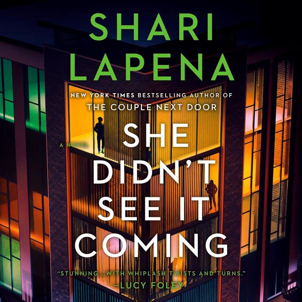 She Didn’t See It Coming by Shari Lapena