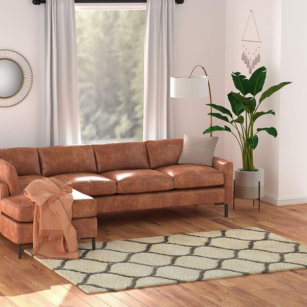 Best Rugs Amazon 2021 The Strategist