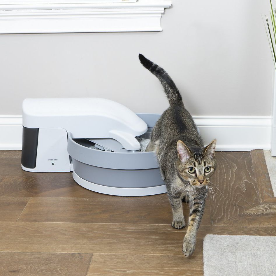 cat litter tray robot