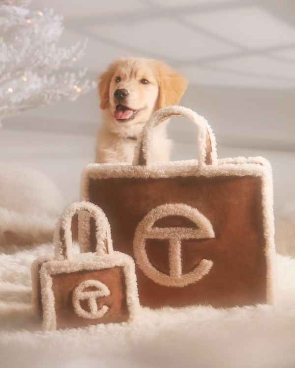 ugg puppy