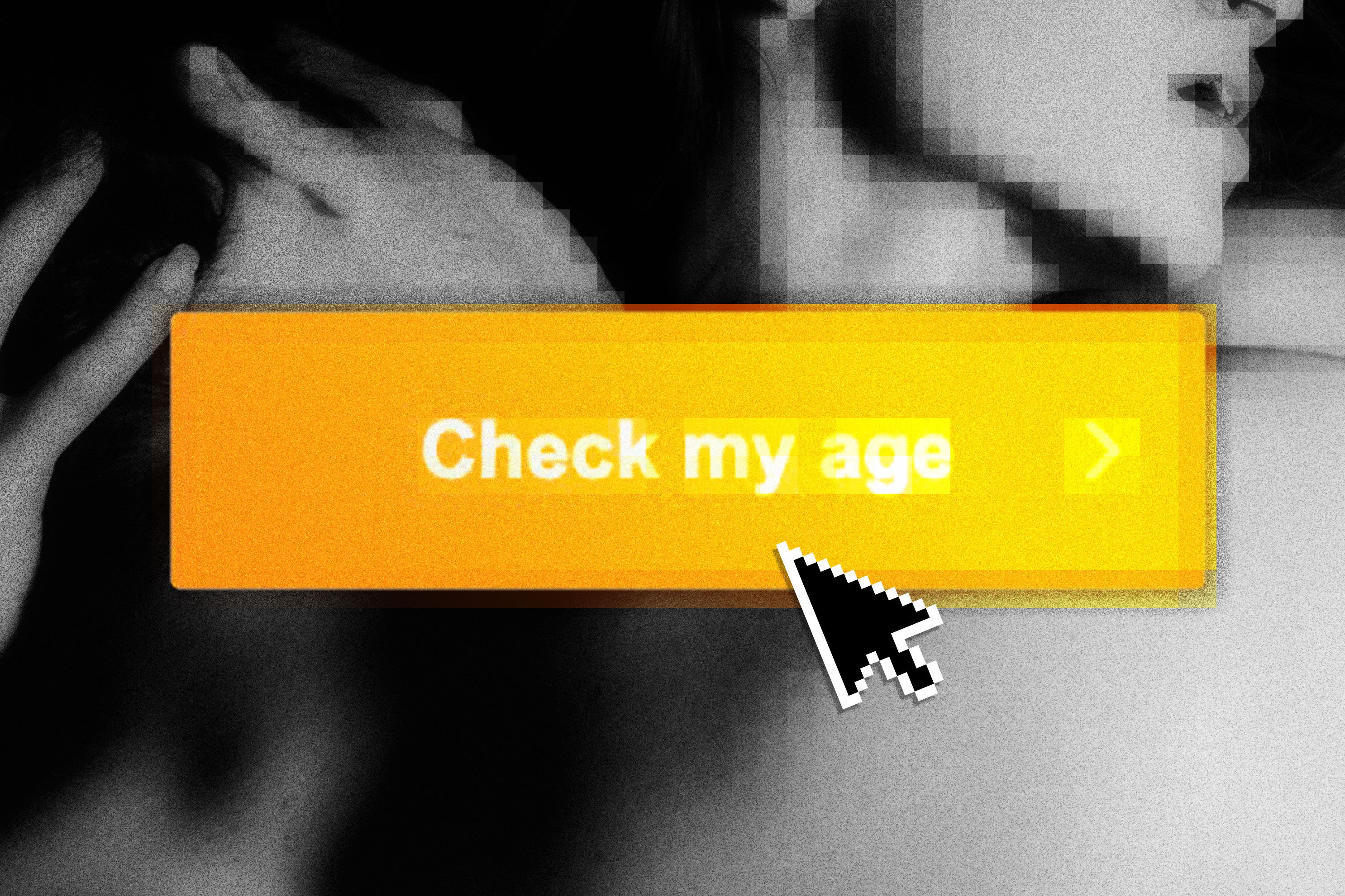 The New War on Porn Is Age-Verification Laws image