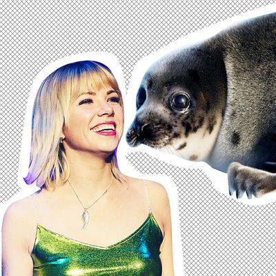 Carly Rae Jepsen and a seal.