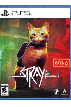 Stray