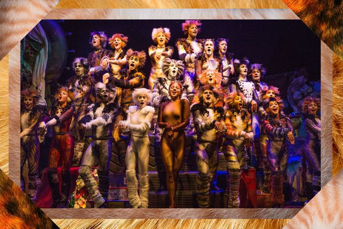 CHS students to perform 'Cats,' the musical