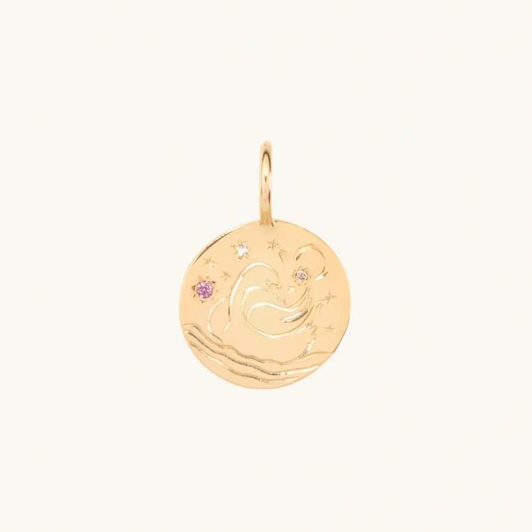 Paula Elaine Barnett Swan and Stars Charm