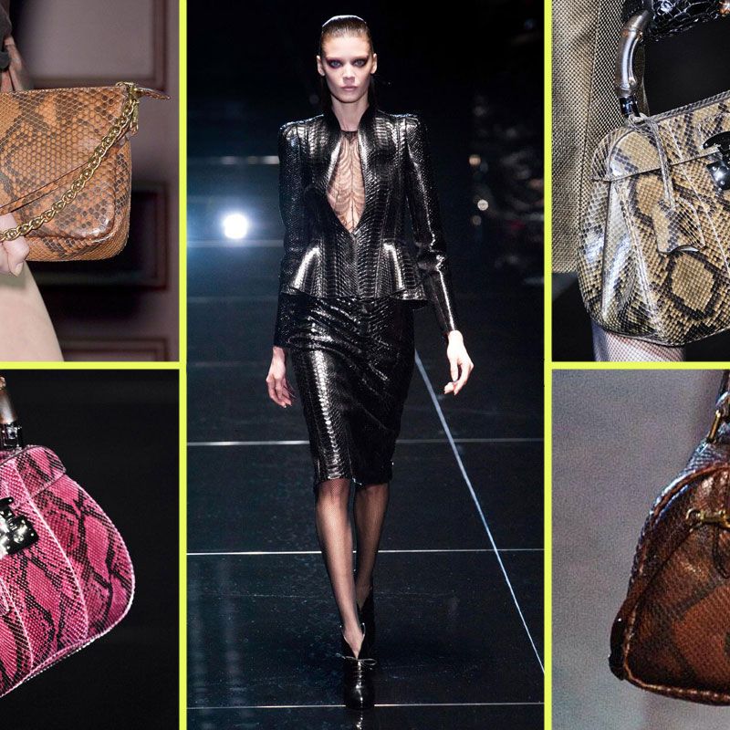 Snakeskin Bag & Other Leather Bags