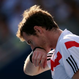 Andy Murray of Great Britain reacts during his men's singles quarterfinal match against Stanislas Wawrinka of Switzerland on Day Eleven of the 2013 US Open at USTA Billie Jean King National Tennis Center on September 5, 2013 in the Flushing neighborhood of the Queens borough of New York City. 