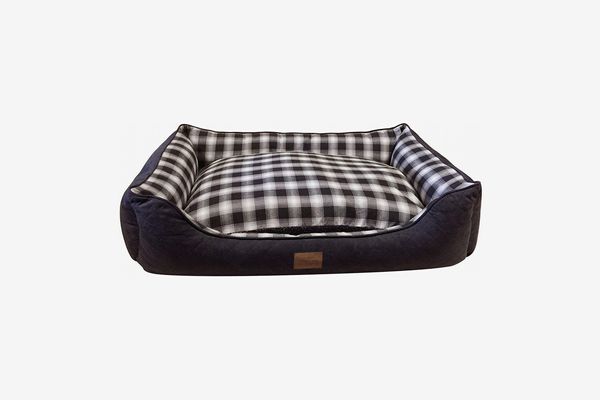 best dog bed for summer