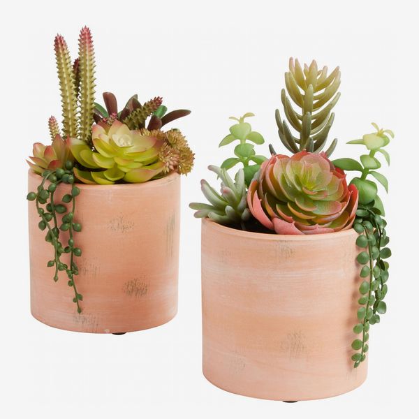 World Market Faux Succulent Arrangements In Terracotta Pots Set Of 2