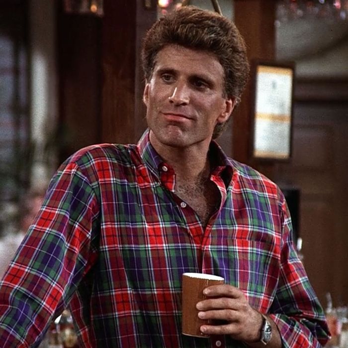 Ted Danson as bartender Same Malone in Cheers. 