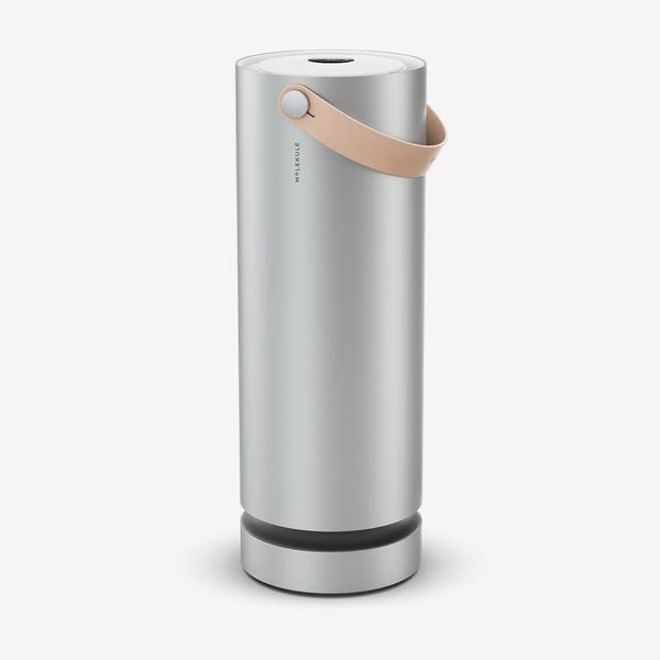 Molekule Air Large Room Air Purifier