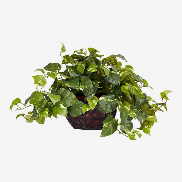 Nearly Natural Pothos With Decorative Vase