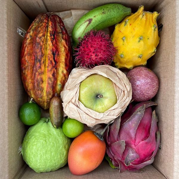 Miami Fruit Variety Box