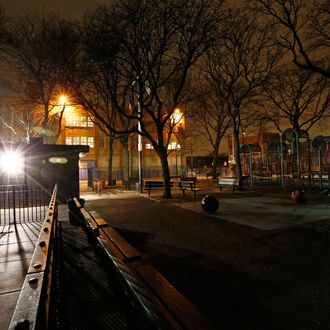 Brooklyn Rape Case