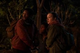 The Last of Us' Episode 4 Recap: Danger and Puns in Kansas City - CNET