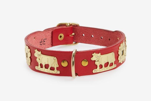 Alpen Schatz Contemporary 13-Inch Swiss Dog Collar (Red)