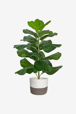 60 Best Artificial Plants | The Strategist