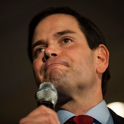 Marco Rubio Holds Super Tuesday Campaign Rally in Minnesota