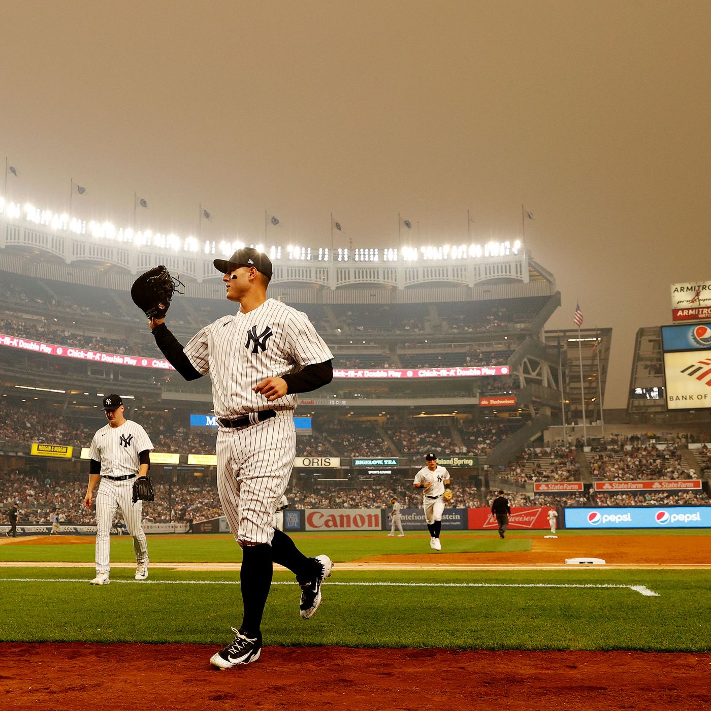 What To Eat At Yankee Stadium This Year - Gothamist