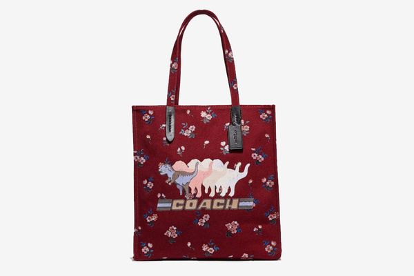 Coach Tote With Shadow Rexy