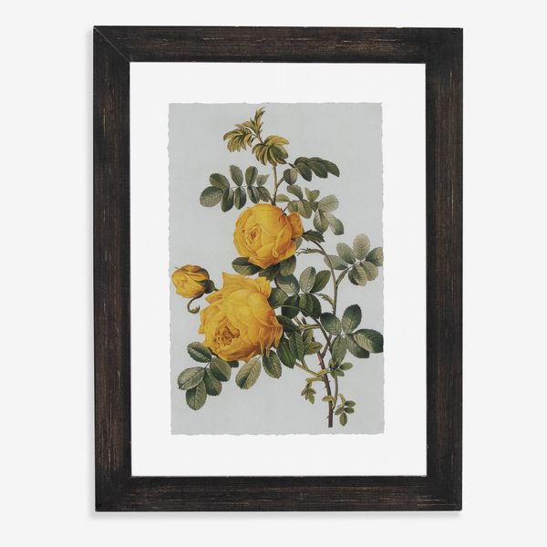 Drew Barrymore Flower Home Vintage Yellow Roses Floating Black II 12”x16.5” Frame