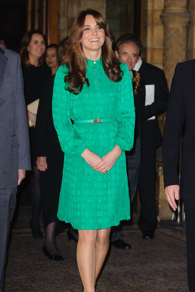 LONDON, ENGLAND - NOVEMBER 27:  Catherine, Duchess of Cambridge attends the official opening of The Natural History Museums’s Treasures Gallery at Natural History Museum on November 27, 2012 in London, England.  (Photo by Dominic Lipinski - WPA Pool/Getty Images)
