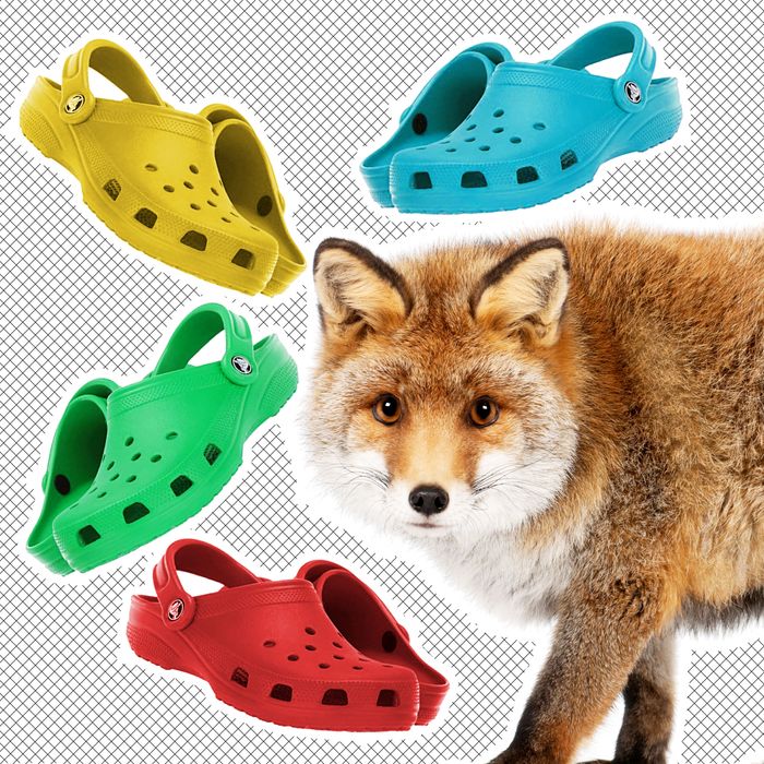 crocs fox