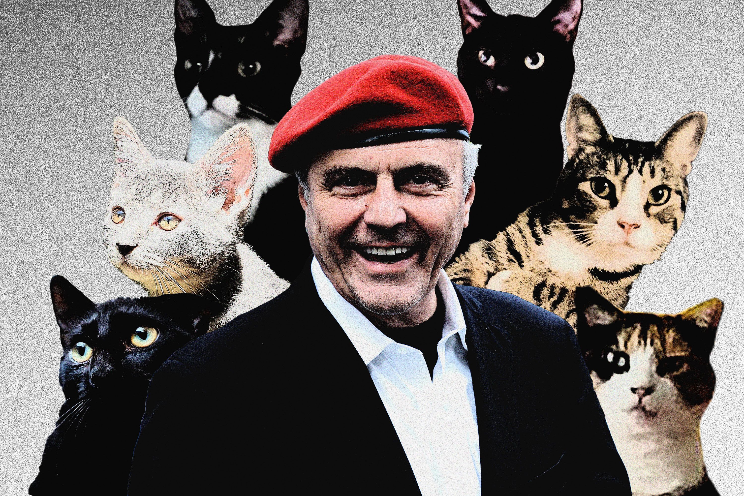 Curtis Sliwa Has 16 Cats. We Asked If He Can Name Them All.