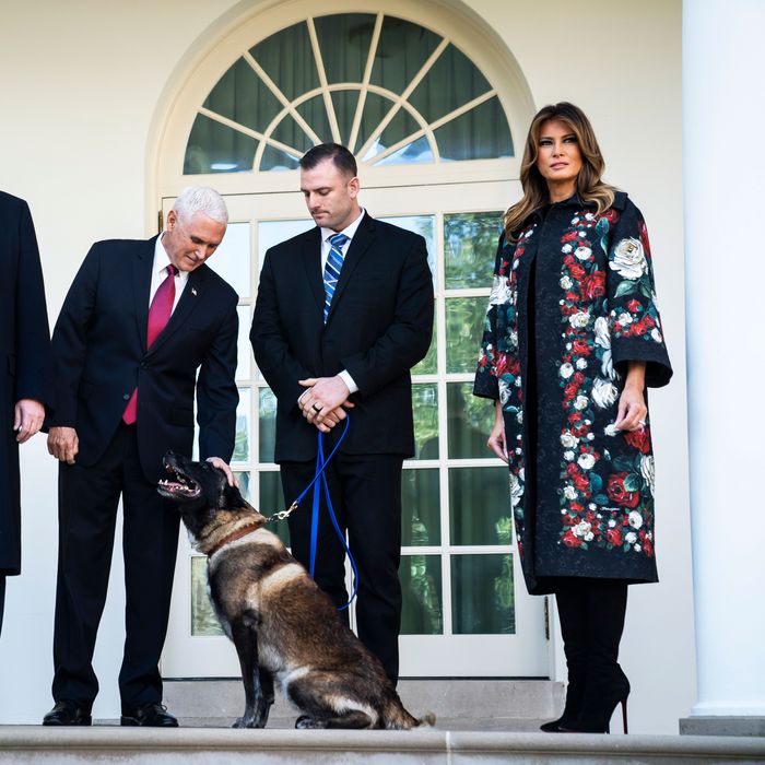 Melania Trump Was Mastermind Behind ‘Hero Dog’ Story