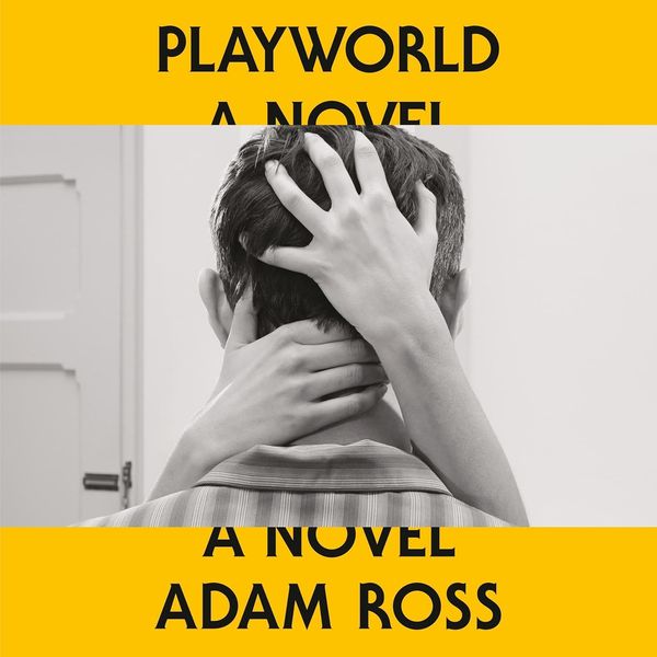 Playworld by Adam Ross