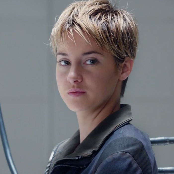 What the Hell Should We Call the New Divergent Movie? What The Hell Should We Call The New Divergent Movie?