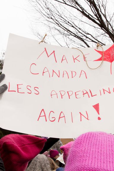 Photos: 46 Signs From the Women’s March on Washington