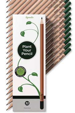 Sprout Plantable Graphite Pencils (32-Pack)
