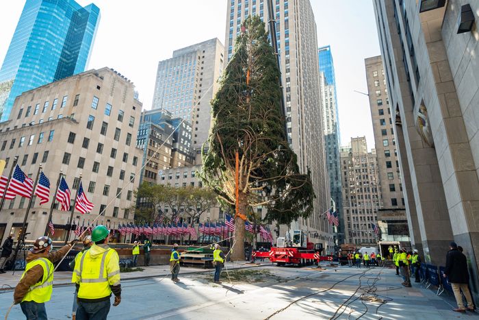 Rockefeller center store tree 2020