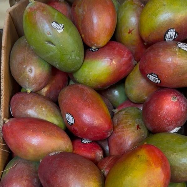 Labay Market Grenada Mango Variety Box - 5 lb