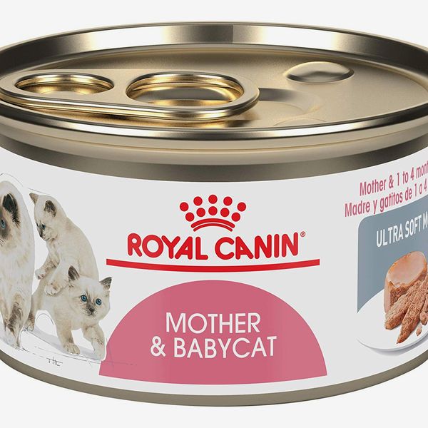 Royal Canin Mother and Baby Cat Extra Fine Cream in Wet Cat Food Sauce 5.1 oz, 24 count