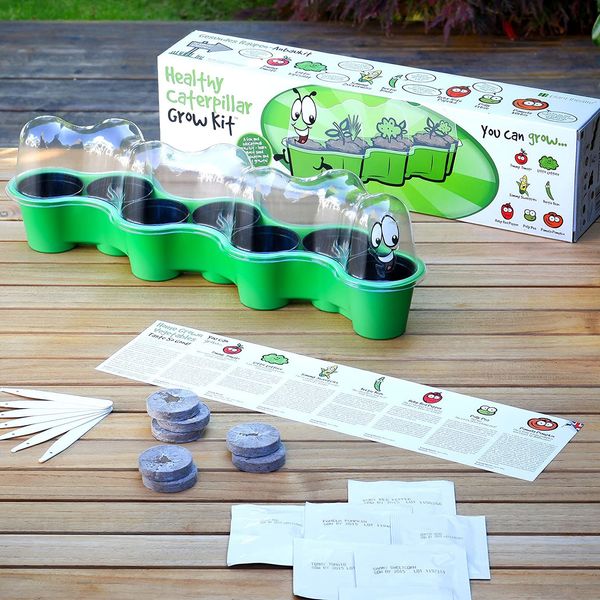 Healthy Caterpillar Grow Kit by Plant Theatre - Educational Gift