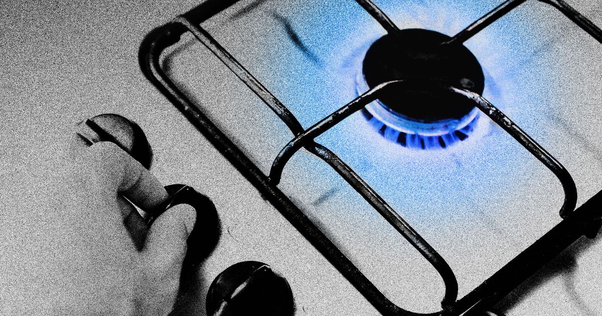 The GasStove Ban Freakout Is the Story We Need Right Now