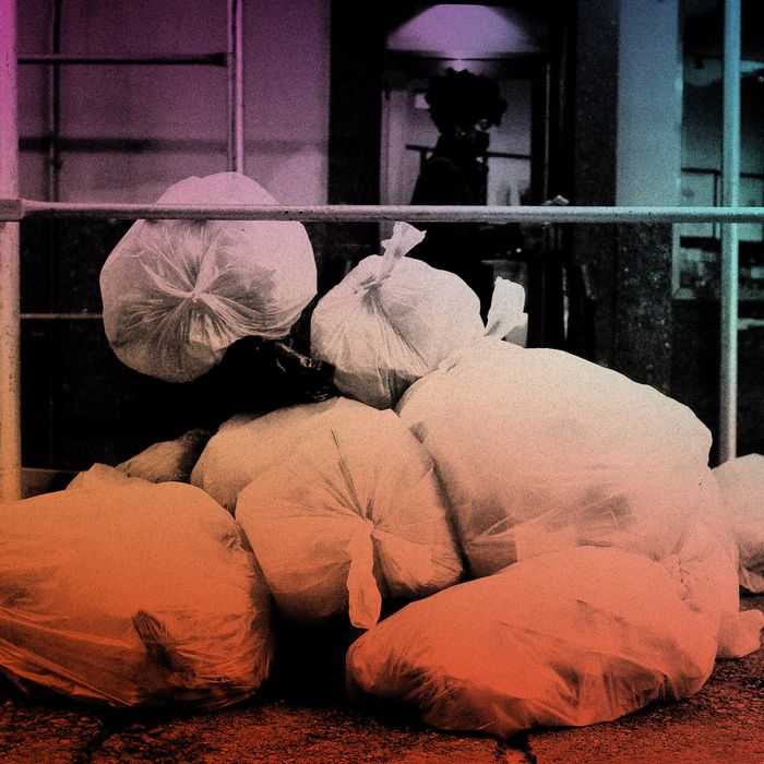 Can Jessica Tisch Make New York City Less Disgusting?