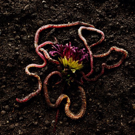 Early Pregnancy Symptoms and Signs, According to 19 Women