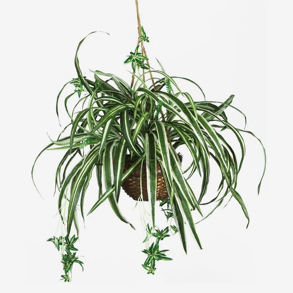 Nearly Natural Spider Hanging Basket Decorative Silk Plant