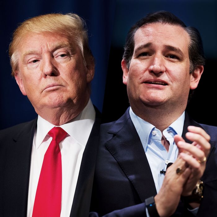Donald Trump & Ted Cruz
