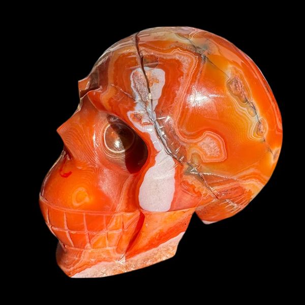 Sabruja Red Lace Agate Skull