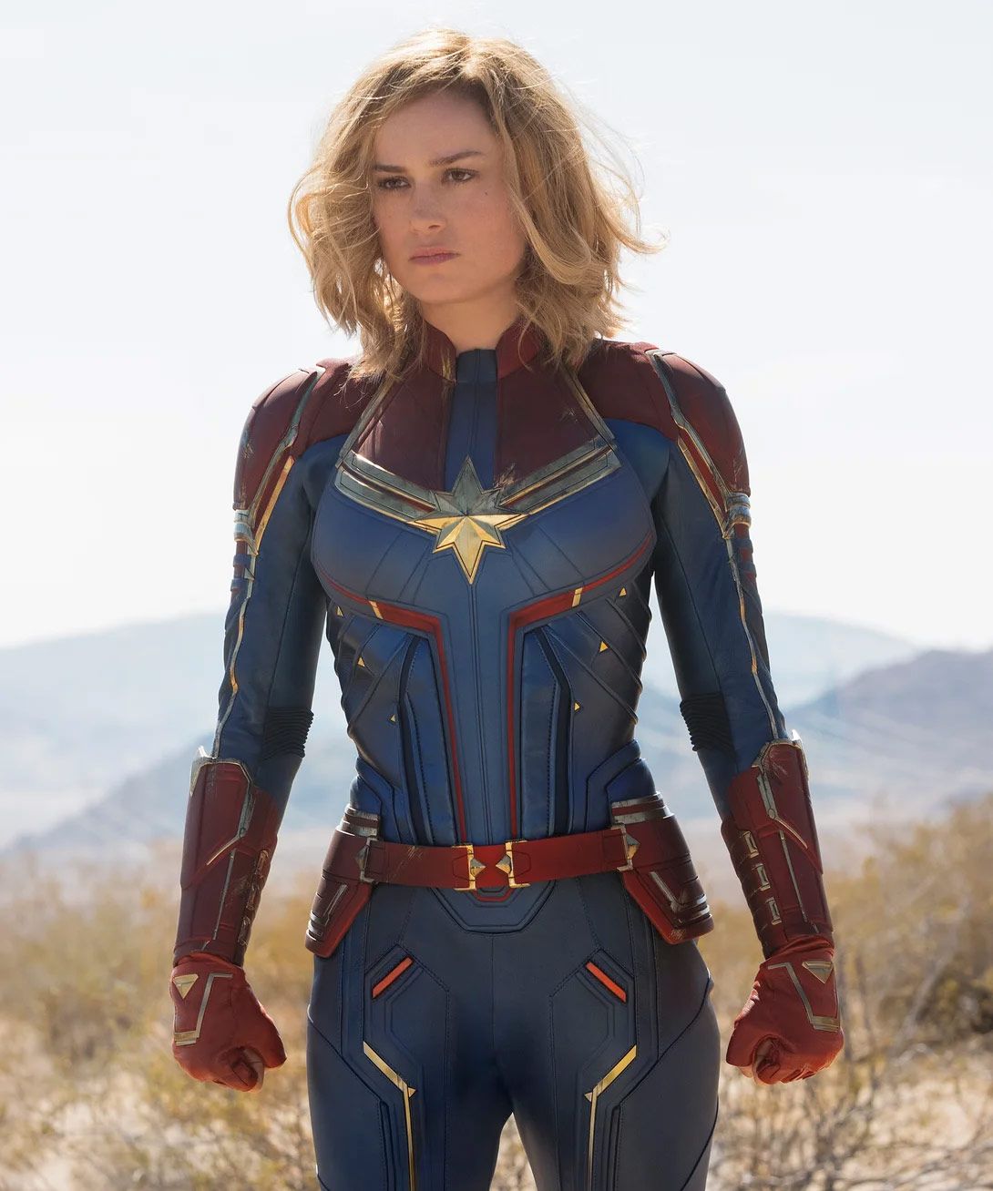 Brie Larson Unsure If Fans Want More 'Captain Marvel'