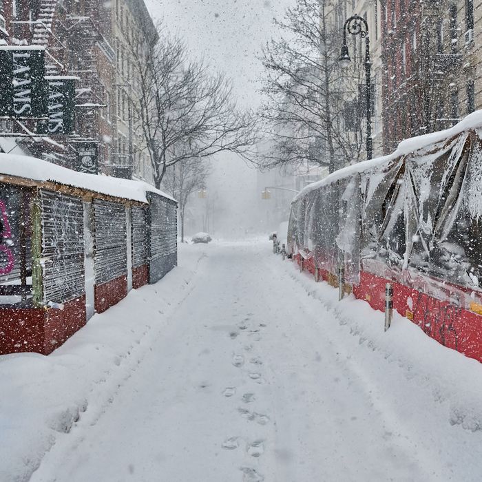 雪地纽约市街上铺设雪覆盖街