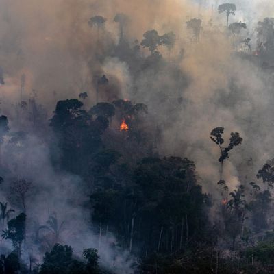 Climate Change Burns The Fortunate — Not Just The  Rainforest