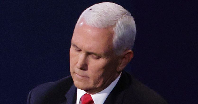 You May Have Missed It, But There Was a Fly on Mike Pence During the Debate