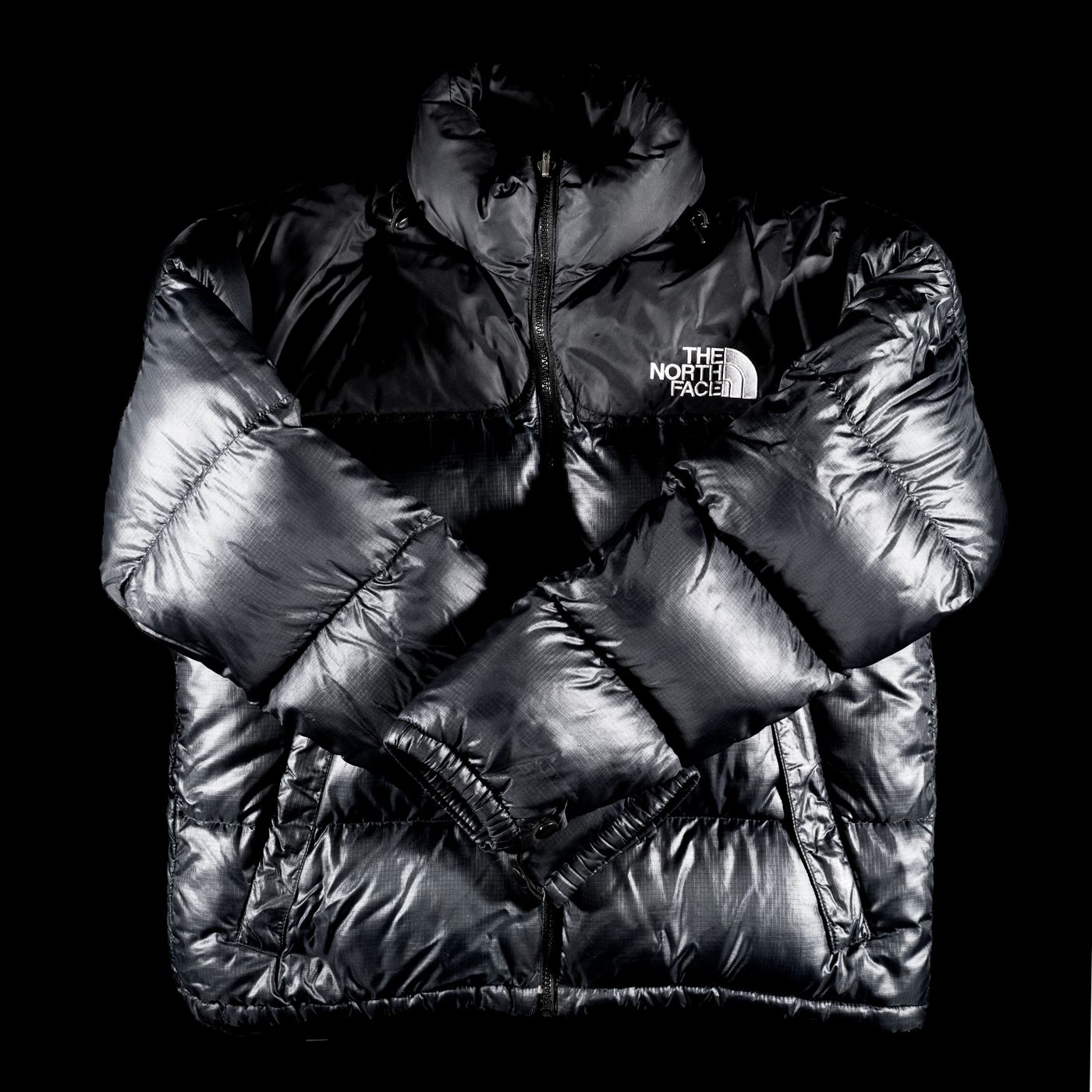 A Case for a North Face Nuptse 1996 Puffer The Strategist